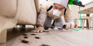 dtg-nettoyage-extreme-intervention-marne-aisne-et-alentours-photo-service-nuisible-toiture dtg-nettoyage-extreme-intervention-marne-aisne-et-alentours-photo-service-nuisible-toiture